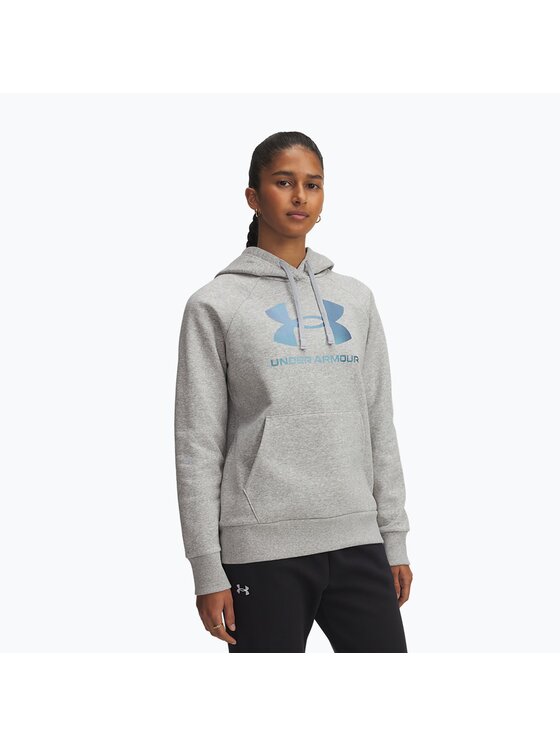 Under Armour Under Armour Bluza UA-6003710-011 Szary Regular Fit