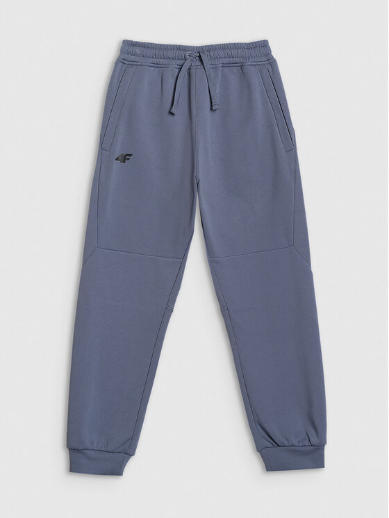 4F 4F Spodnie dresowe APRES SKI Regular Fit