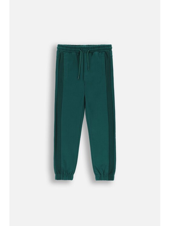 Coccodrillo Coccodrillo Spodnie dresowe ZC4120103ABJ-011 Zielony Slim Fit