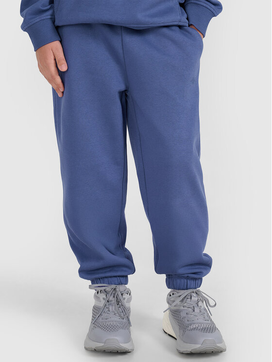 4F 4F Spodnie dresowe BASIC+ Niebieski Regular Fit