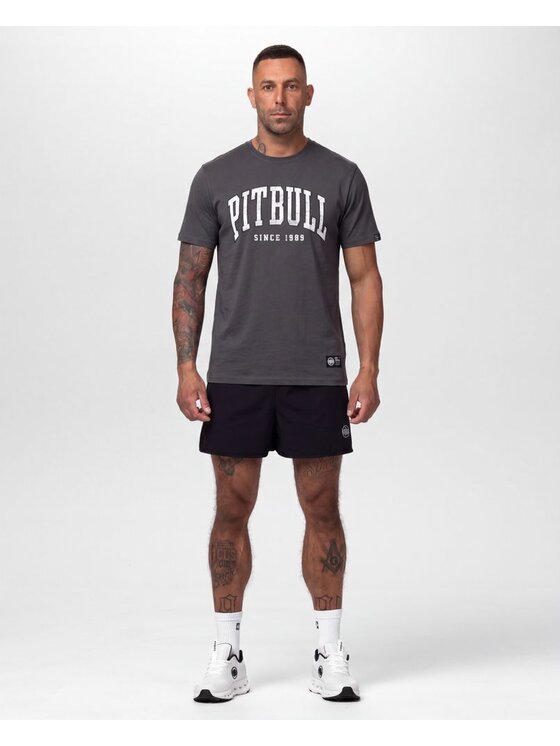 PITBULL PITBULL T-Shirt NORTON Szary Regular Fit