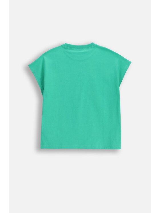 Coccodrillo Coccodrillo T-Shirt WC6143203JGJ-011 Zielony Regular Fit
