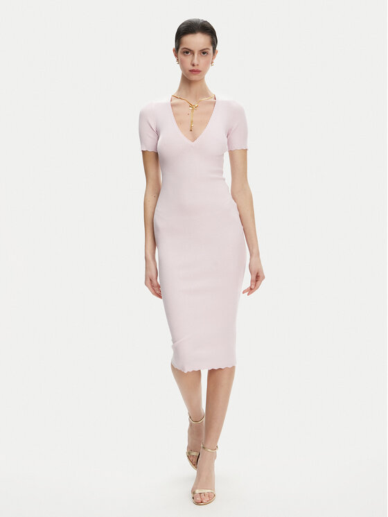 Elisabetta Franchi Elisabetta Franchi Трикотажна сукня AM-53S-51E2 Рожевий Slim Fit