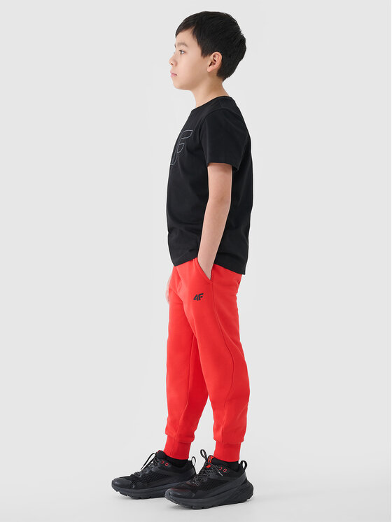 4F 4F Spodnie dresowe BASIC+ Pomarańczowy Regular Fit