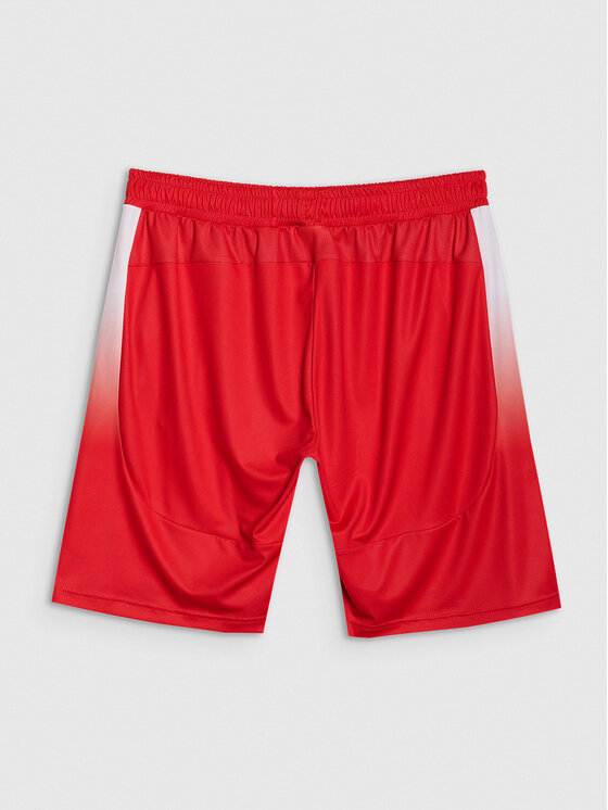 4F 4F Szorty sportowe TEAMWEAR Kolorowy Regular Fit