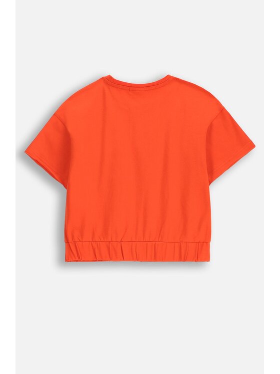 Coccodrillo Coccodrillo T-Shirt WC5143205MGJ-009 Czerwony Regular Fit