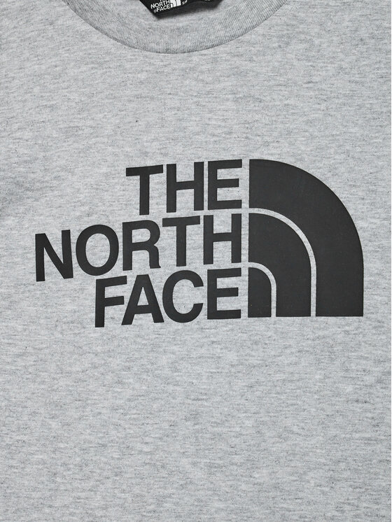 The North Face The North Face Marškinėliai NF0A8DRN Pilka Regular Fit