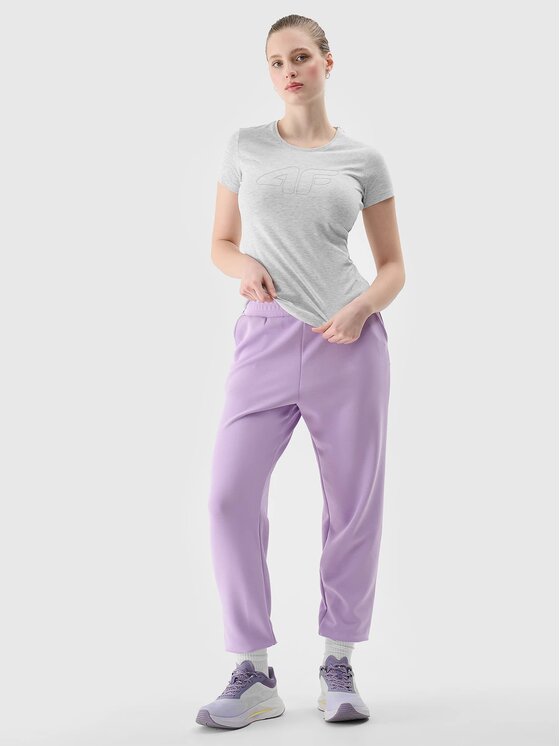 4F 4F T-Shirt 4FWSS24TTSHF1163-27M Szary Slim Fit