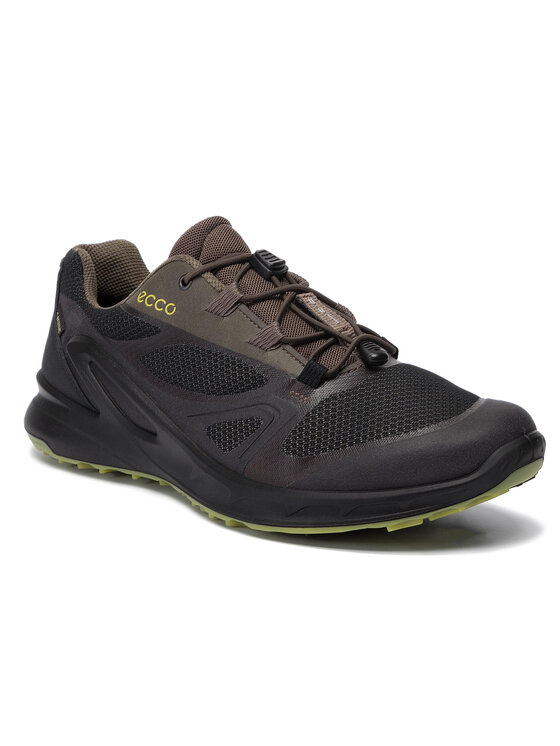 ECCO Trekingov obuv Biom Omniquest GORE TEX 85310455974 ern