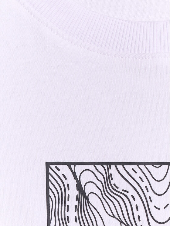 4F 4F T-Shirt TREKKING Biały Regular Fit