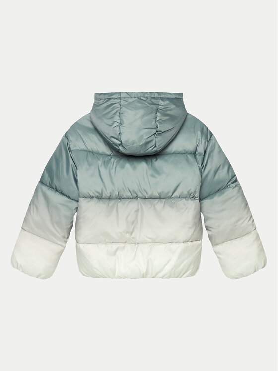 Calvin Klein Jeans Calvin Klein Jeans Žieminė striukė Gradient IG0IG02591 D Žalia Regular Fit