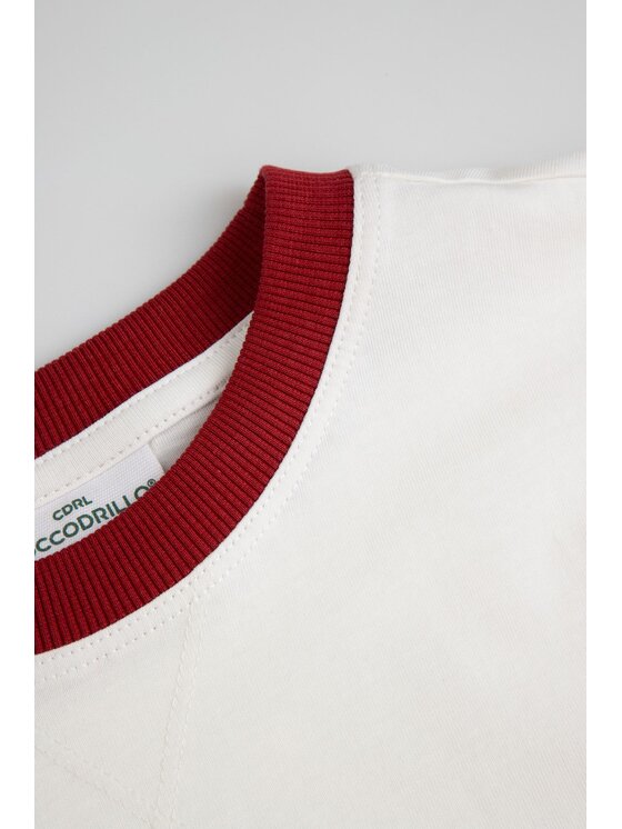 Coccodrillo Coccodrillo T-Shirt ZC6143204ABJ-003 Kremowy Regular Fit