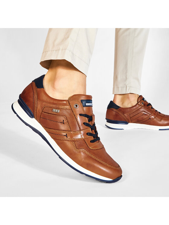 Salamander Salamander Sneakers Avato 31-56201-07 Braun