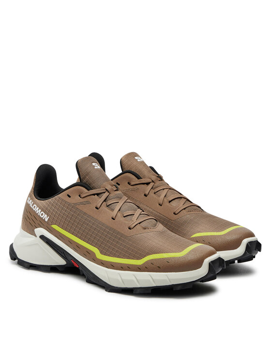 Salomon Salomon Tenisice za trčanje Alphacross 5 L47460100 Bež
