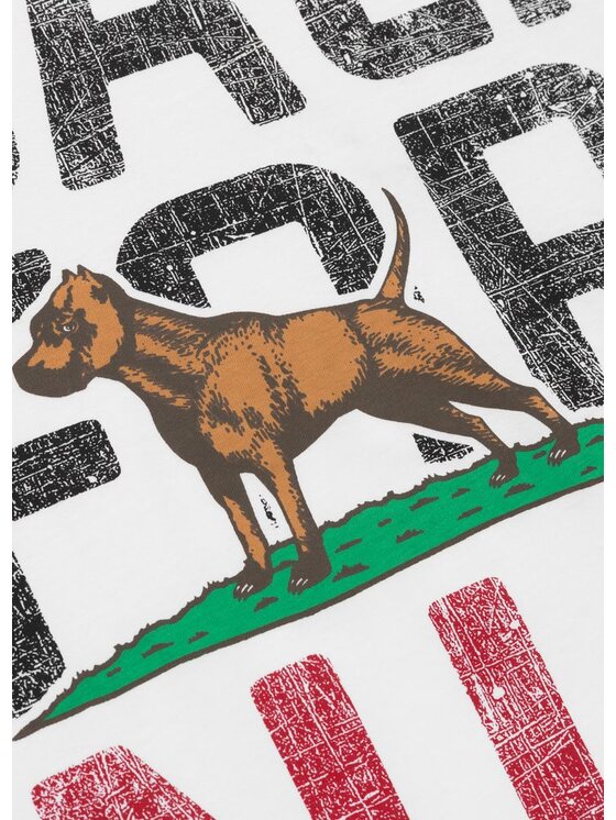 PITBULL PITBULL T-Shirt CALIFORNIA Biały Regular Fit
