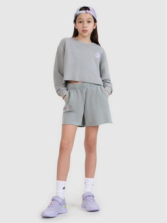 4F 4F Szorty sportowe SWELLS OF THE OCEAN Szary Regular Fit