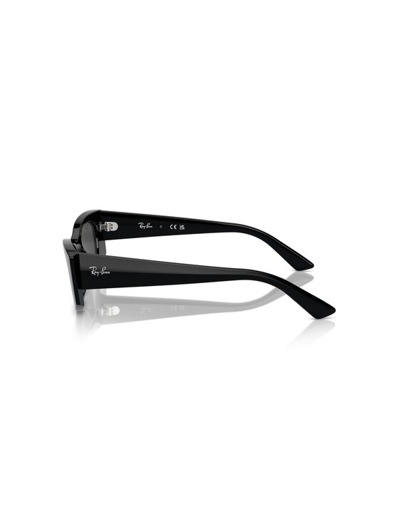 Ray-Ban Ray-Ban Γυαλιά ηλίου ot-8056262014479 Έγχρωμο