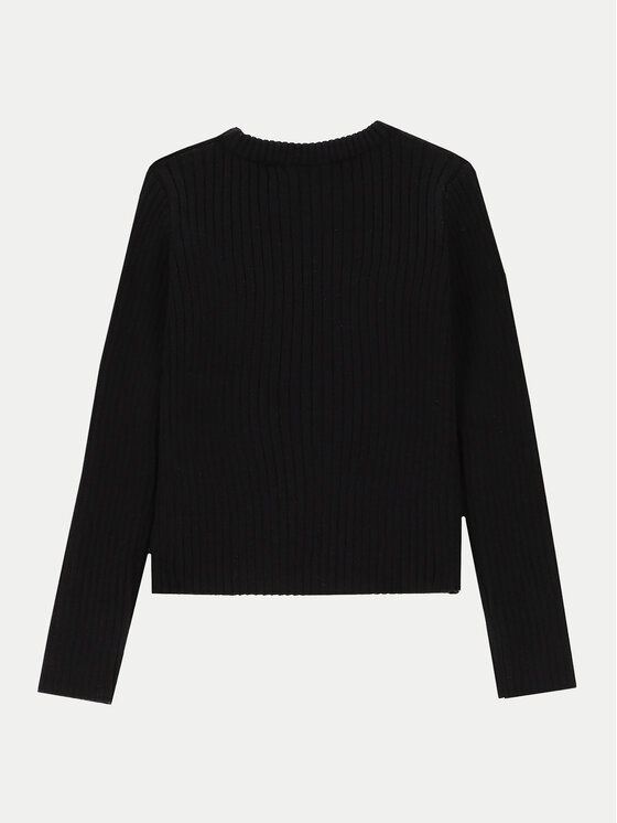 Coccodrillo Coccodrillo Pulover ZC4172101SGJ Negru Regular Fit