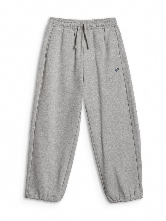 4F 4F Spodnie dresowe CAMPUS VIBES Szary jasny Loose Fit