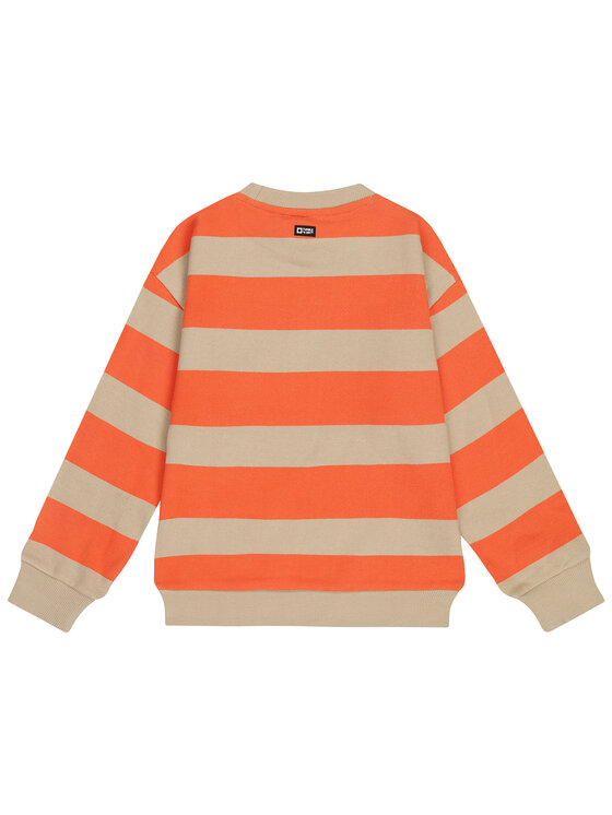 Tumble 'N Dry Tumble 'N Dry Bluza 84/22175/17728/28 Szary Regular Fit
