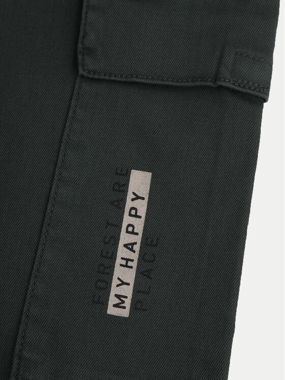 Coccodrillo Coccodrillo Joggers kalhoty WC4119101NAJ Zelená Regular Fit