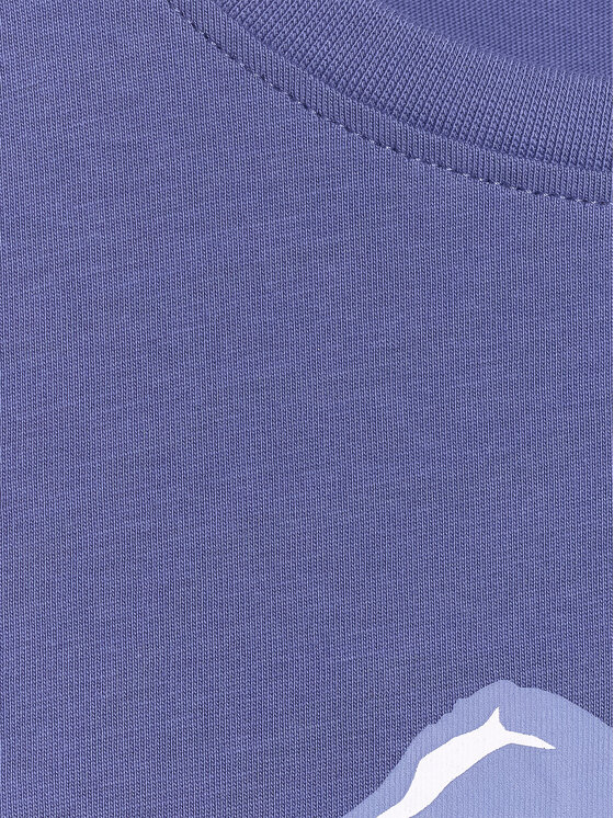 4F 4F T-Shirt APRES SKI Granatowy Regular Fit