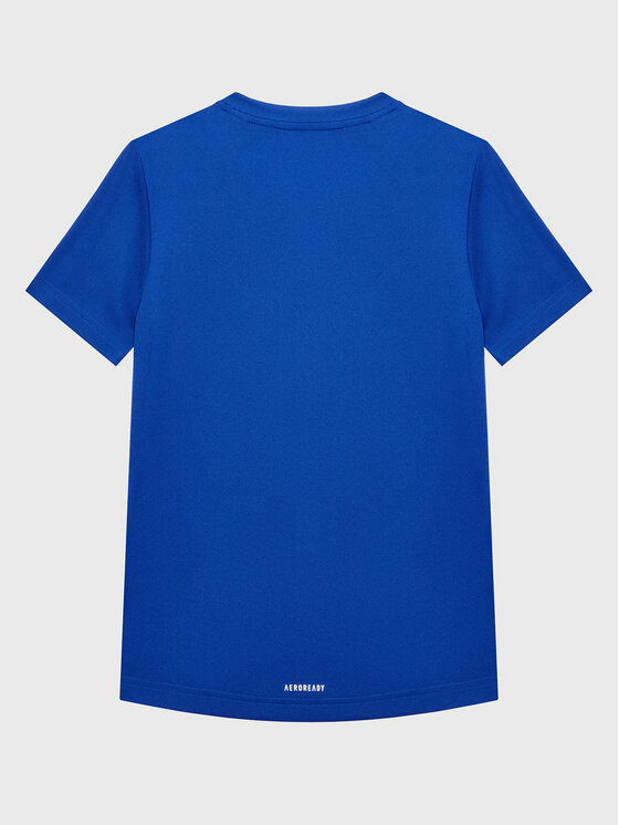 Maglietta tecnica Designed 2 Move HE9325 Blu scuro...