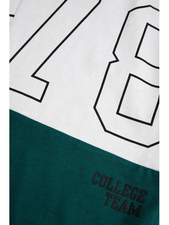 Coccodrillo Coccodrillo T-Shirt ZC5143201ABJ-022 Kolorowy Regular Fit