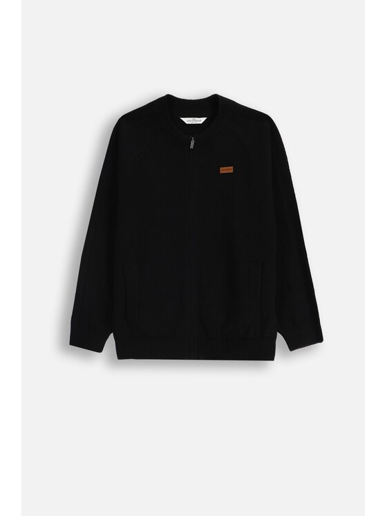 Coccodrillo Coccodrillo Sweter ZC5172201CBJ-021 Czarny Regular Fit