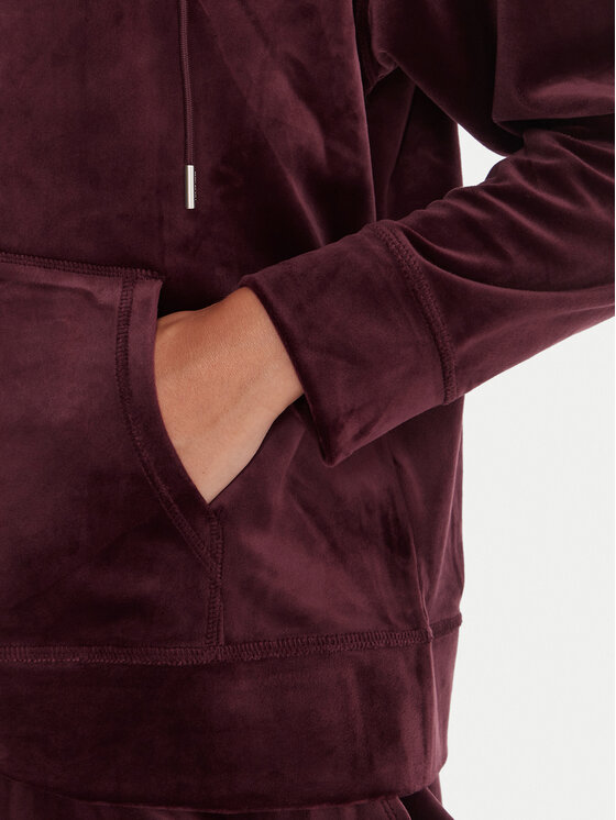 DKNY Sport DKNY Sport Džemperis ar kapuci DP5J9634 Bordo Regular Fit