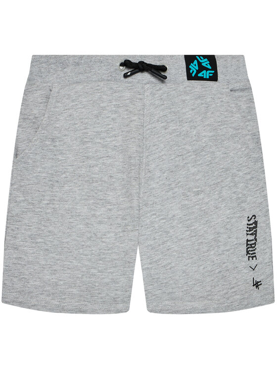 4F 4F Szorty sportowe HJL21-JSKMD003B Szary Regular Fit