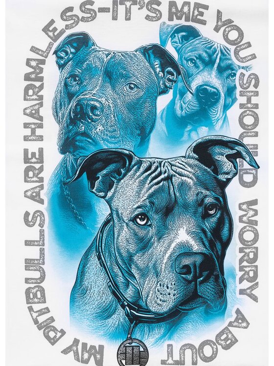 PITBULL PITBULL T-Shirt PROTECTOR Biały Regular Fit