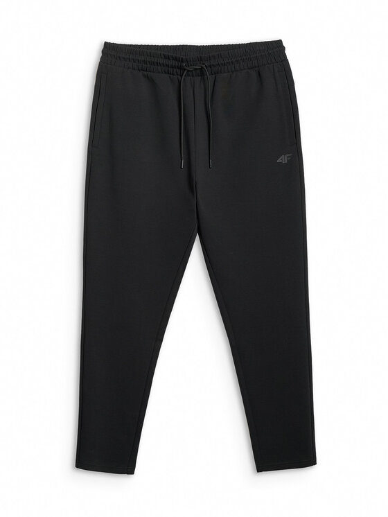 4F 4F Spodnie dresowe ESSENTIAL 2 Czarny Regular Fit