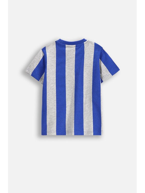 Coccodrillo Coccodrillo T-Shirt WC5143202MBK-022 Kolorowy Regular Fit