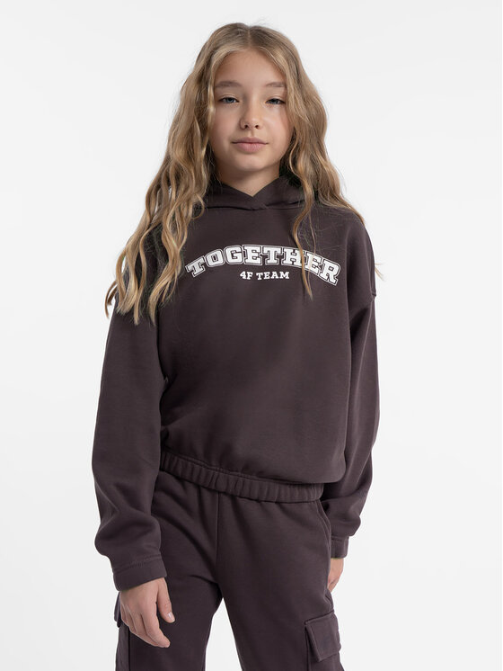 4F 4F Džemperis 4FJAW23TSWSF639 Violetinė Regular Fit