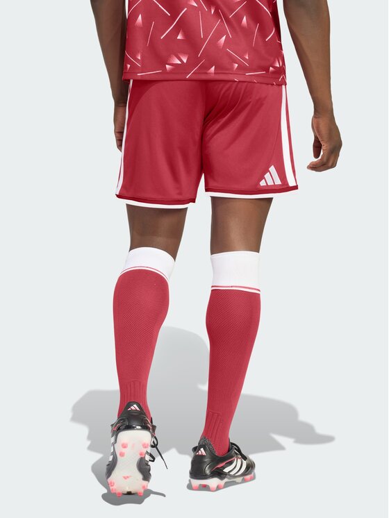 adidas adidas Szorty sportowe 169679 Czerwony Regular Fit