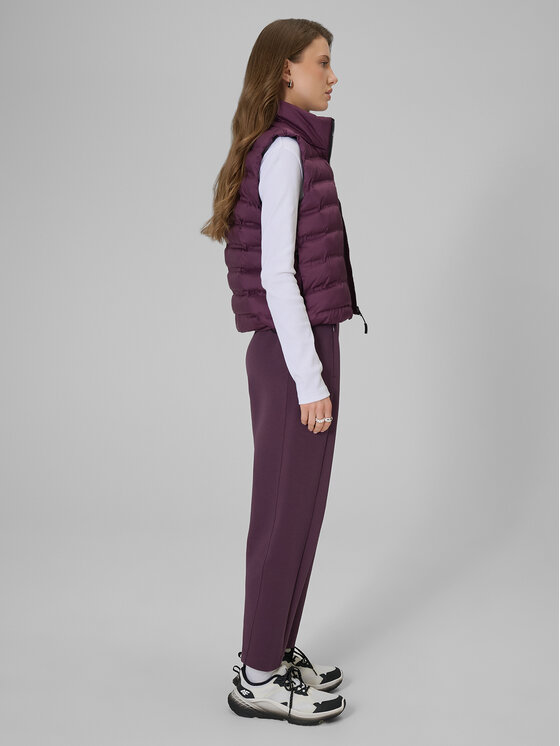 4F 4F Spodnie dresowe ESSENTIAL 3 Fioletowy Regular Fit