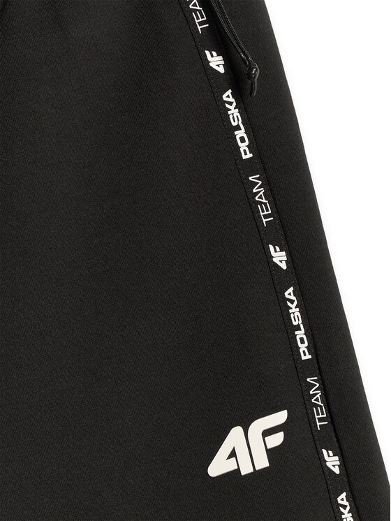 4F 4F Szorty sportowe STREFA KIBICA Czarny Regular Fit