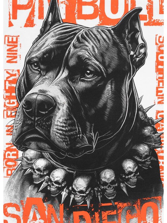 PITBULL PITBULL T-Shirt BLACKY Biały Regular Fit
