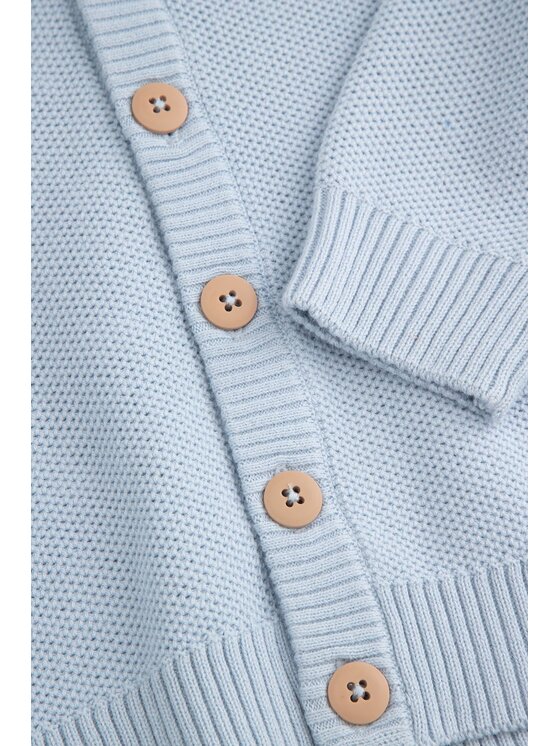 Coccodrillo Coccodrillo Svetr WC6172201EBB-014 Modrá Regular Fit