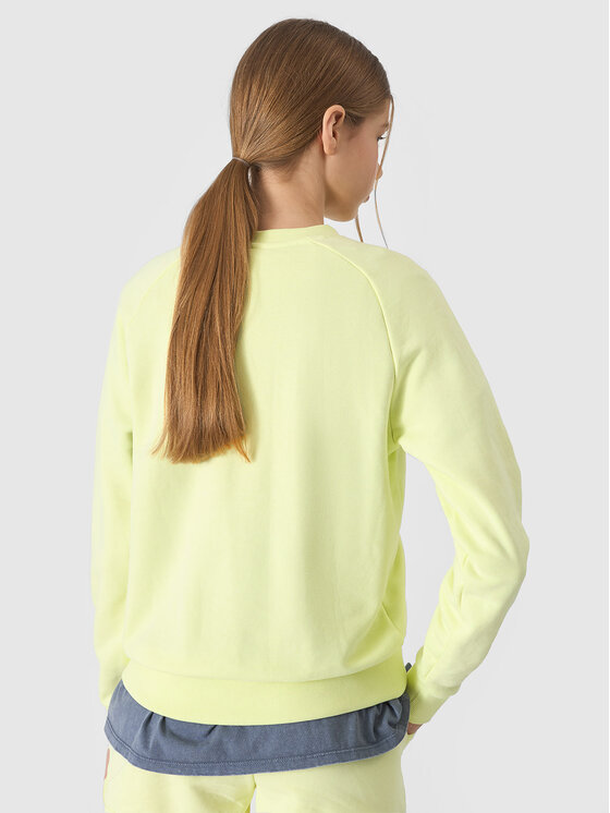 4F 4F Mikina 4FJWSS24TSWSF0920-72S Zelená Regular Fit