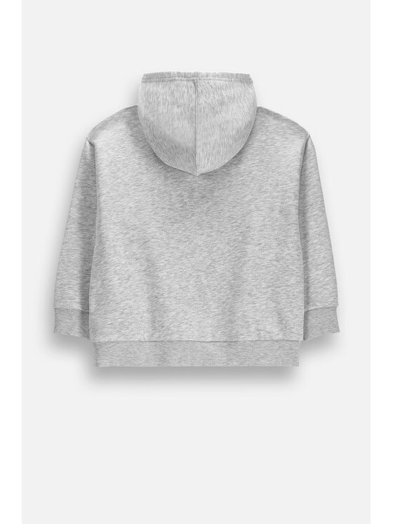 Coccodrillo Coccodrillo Bluza ZC6132301ABJ-003 Szary Regular Fit
