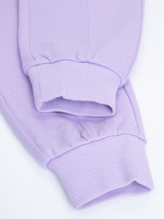 Pantaloni di tessuto WC3120103EVG Viola Regular