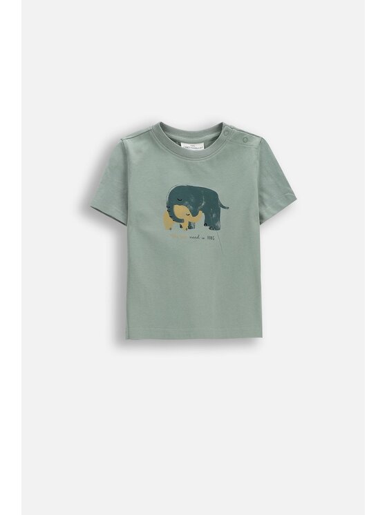 Coccodrillo Coccodrillo T-Shirt WC6143204IBN-011 Zielony Regular Fit