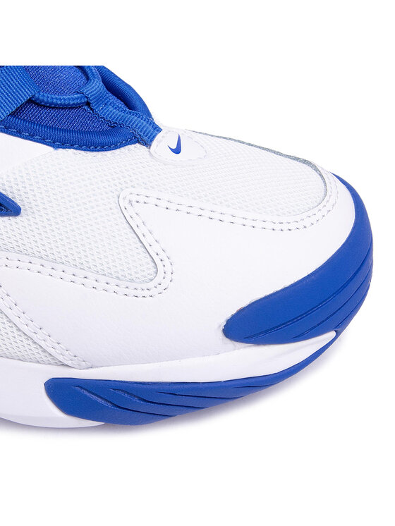 Nike air best sale zoom 2k blue