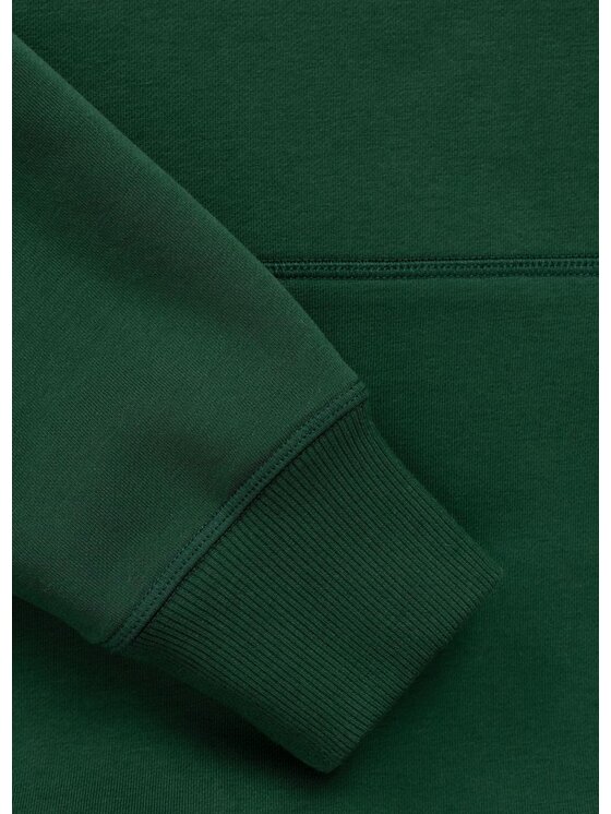 PITBULL PITBULL Bluza BADGER Zielony Regular Fit
