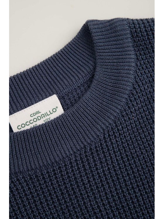 Coccodrillo Coccodrillo Sveter WC6172101CSB-014 Modrá Regular Fit