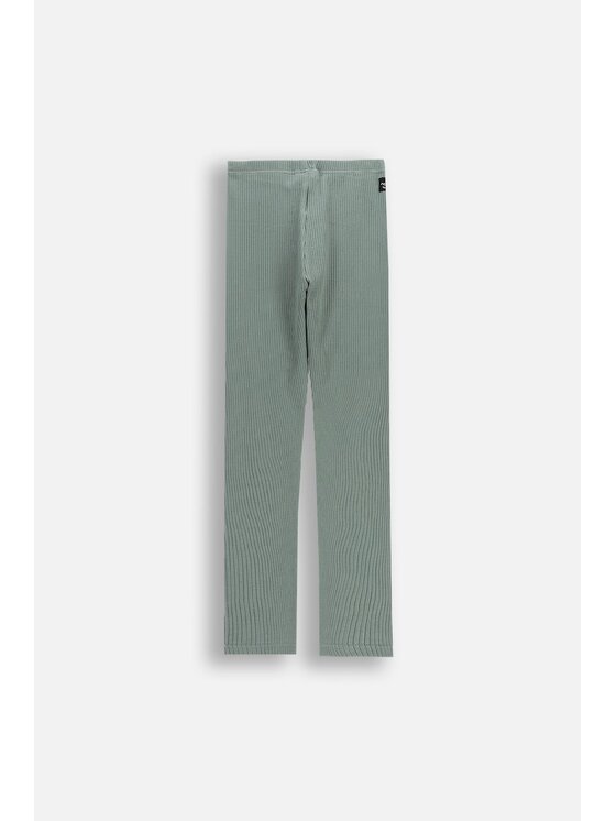Coccodrillo Coccodrillo Legginsy WC6122103RGJ-011 Zielony