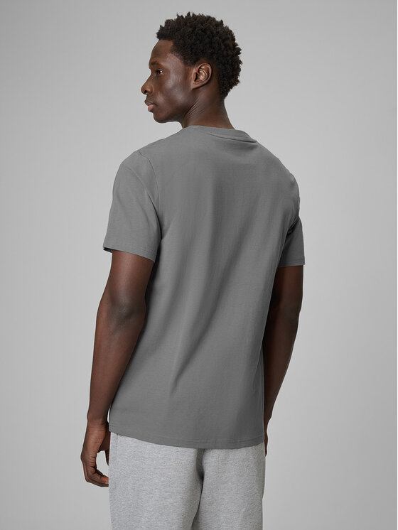 4F 4F T-Shirt FLUID EXPRESSIONS Szary Regular Fit