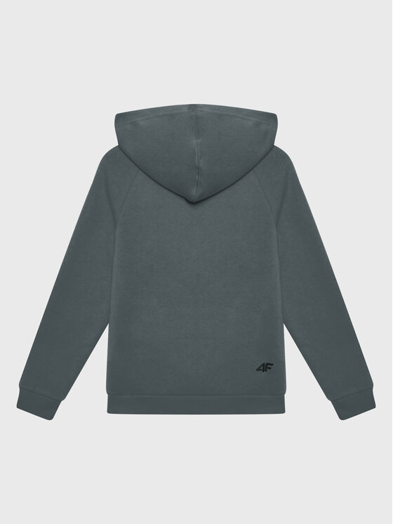 4F 4F Mikina HJZ22-JBLM002 Zelená Regular Fit